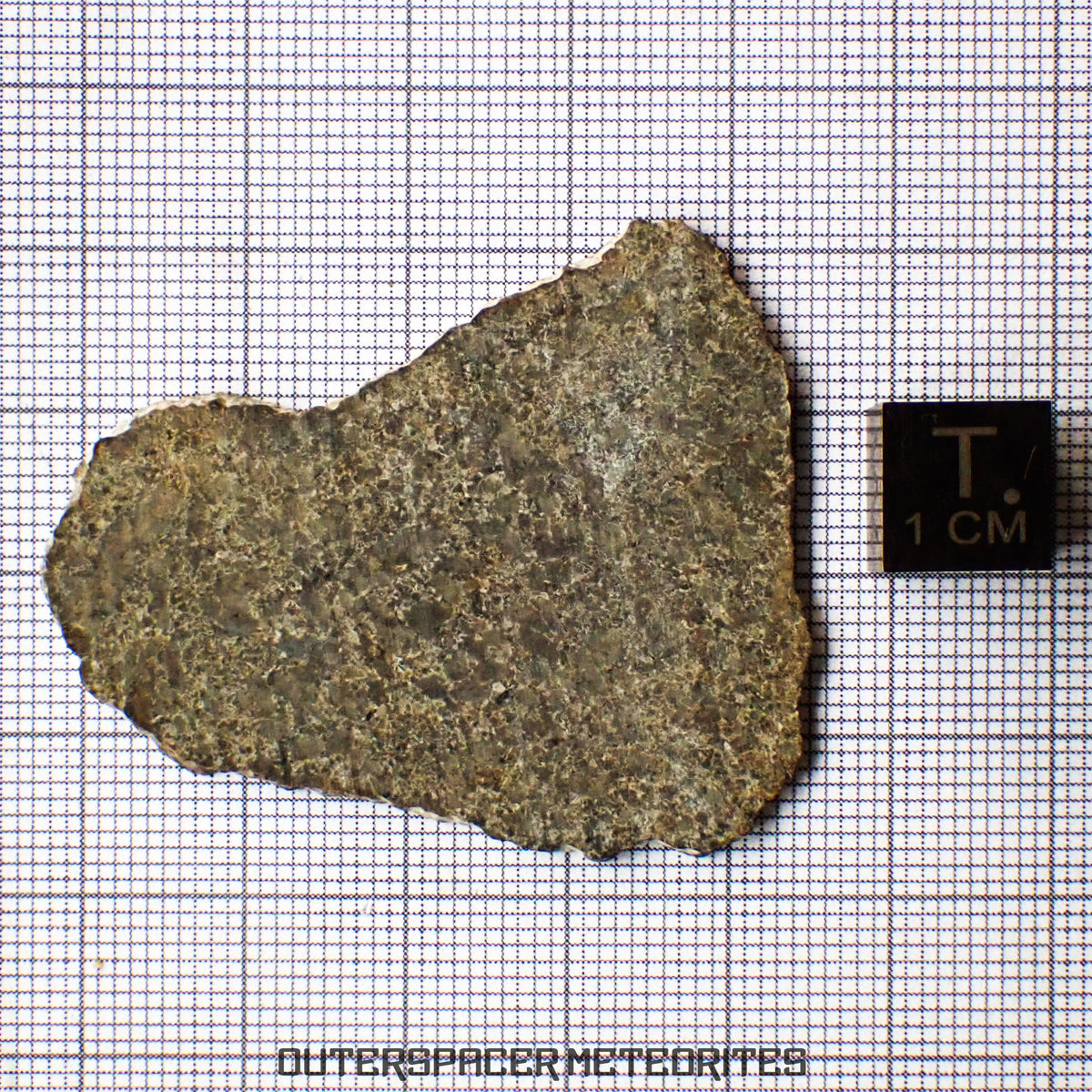 NWA 13187 - Martian Shergottite (Diabasic) - Complete Slice - 5.56g - Northwest Africa