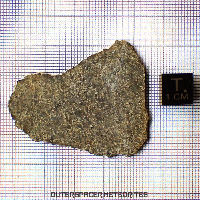 NWA 13187 - Martian Shergottite (Diabasic) - Complete Slice - 5.56g - Northwest Africa