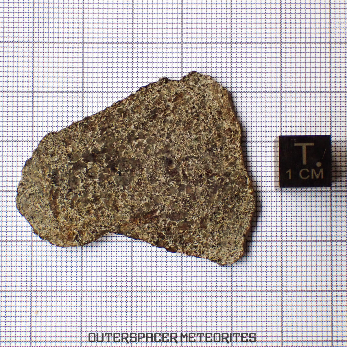 NWA 13187 - Martian Shergottite (Diabasic) - Complete Slice - 5.56g - Northwest Africa