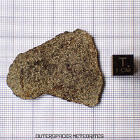 NWA 13187 - Martian Shergottite (Diabasic) - Complete Slice - 5.56g - Northwest Africa