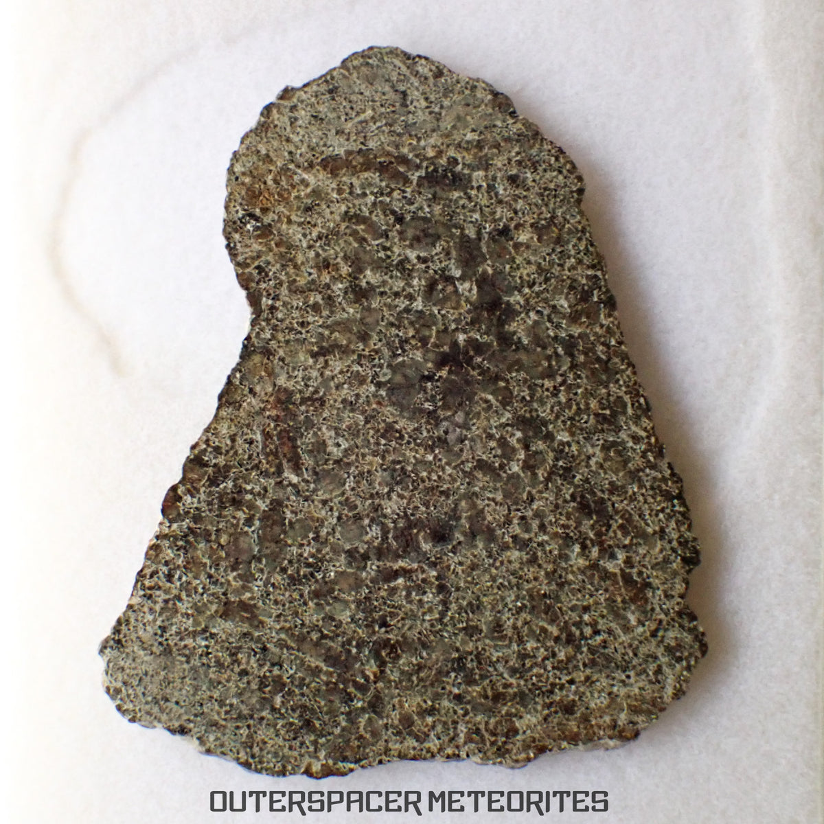 NWA 13187 - Martian Shergottite (Diabasic) - Complete Slice - 5.56g - Northwest Africa