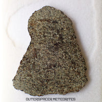 NWA 13187 - Martian Shergottite (Diabasic) - Complete Slice - 5.56g - Northwest Africa