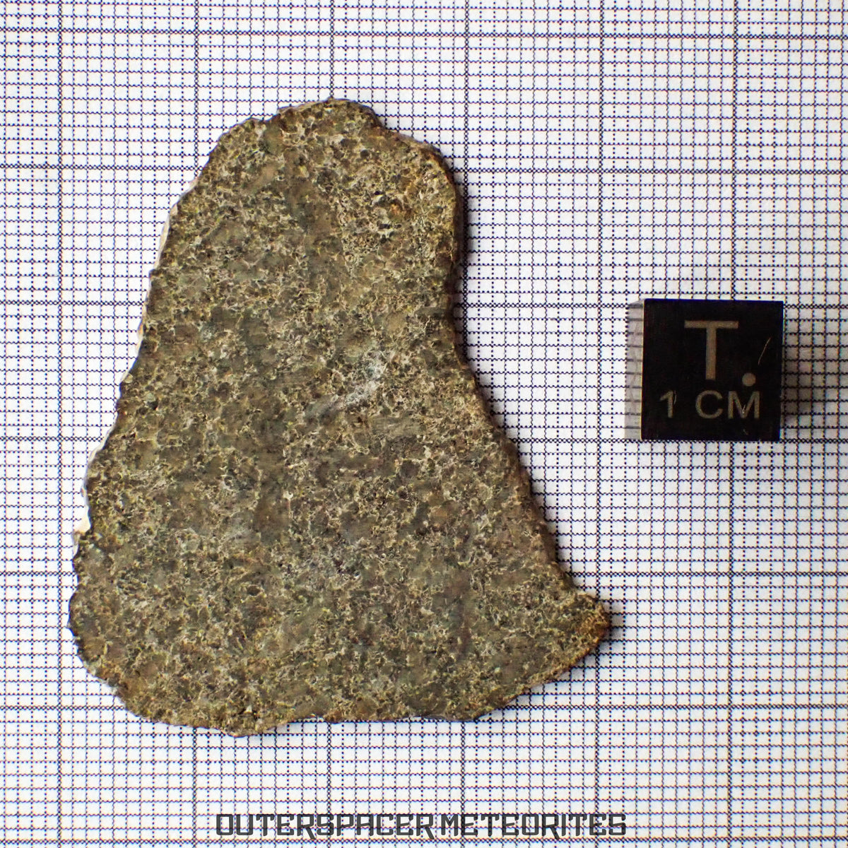 NWA 13187 - Martian Shergottite (Diabasic) - Complete Slice - 5.29g - Northwest Africa