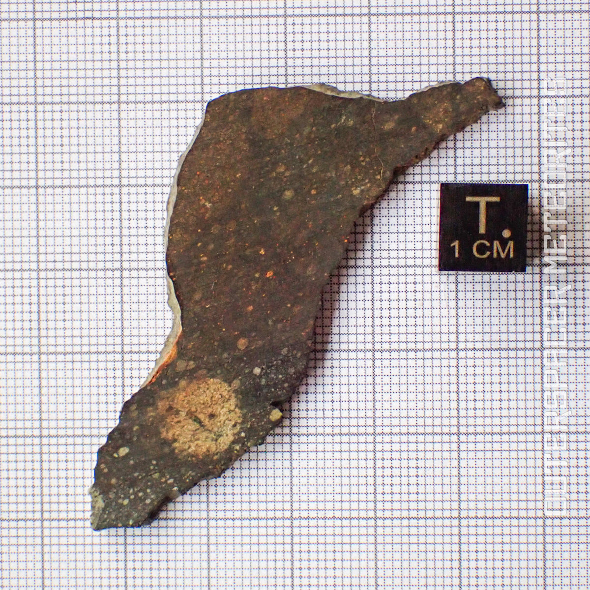 NWA 13758 - R3 Chondrite (Rumuruti) - Slice - 8.73g - Algeria