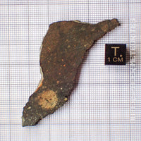 NWA 13758 - R3 Chondrite (Rumuruti) - Slice - 8.73g - Algeria