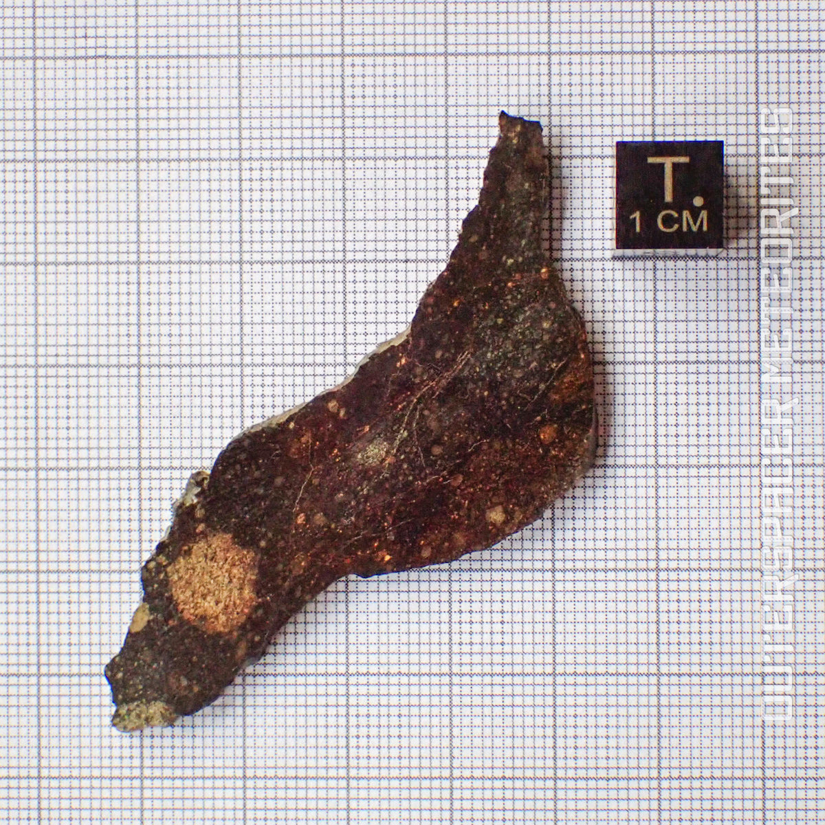 NWA 13758 - R3 Chondrite (Rumuruti) - Slice - 8.73g - Algeria