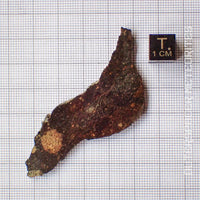 NWA 13758 - R3 Chondrite (Rumuruti) - Slice - 8.73g - Algeria