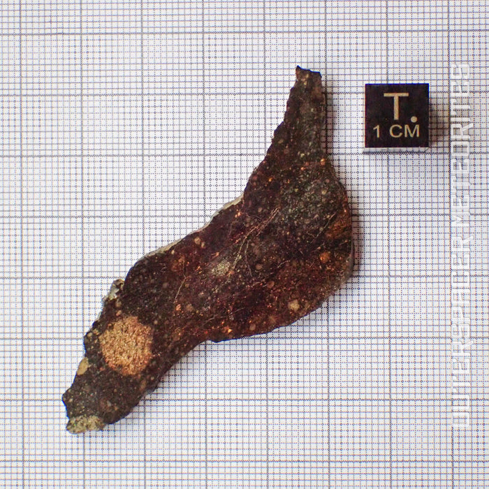 NWA 13758 - R3 Chondrite (Rumuruti) - Slice - 8.73g - Algeria