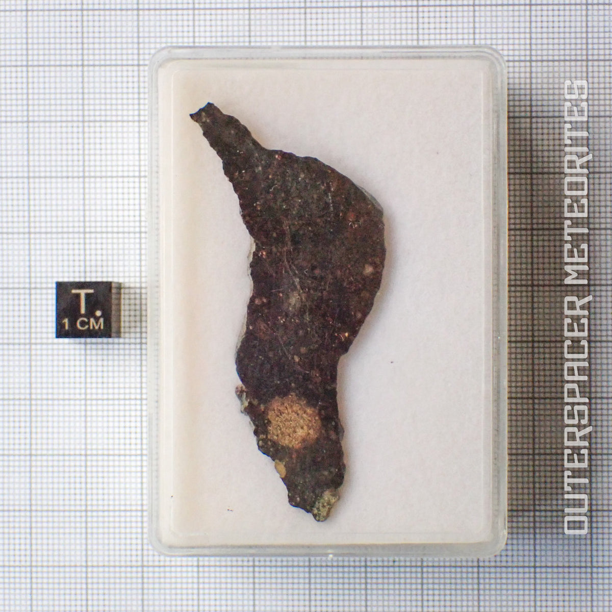 NWA 13758 - R3 Chondrite (Rumuruti) - Slice - 8.73g - Algeria
