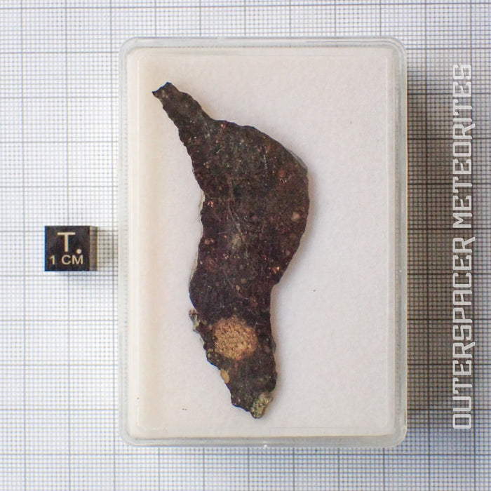 NWA 13758 - R3 Chondrite (Rumuruti) - Slice - 8.73g - Algeria