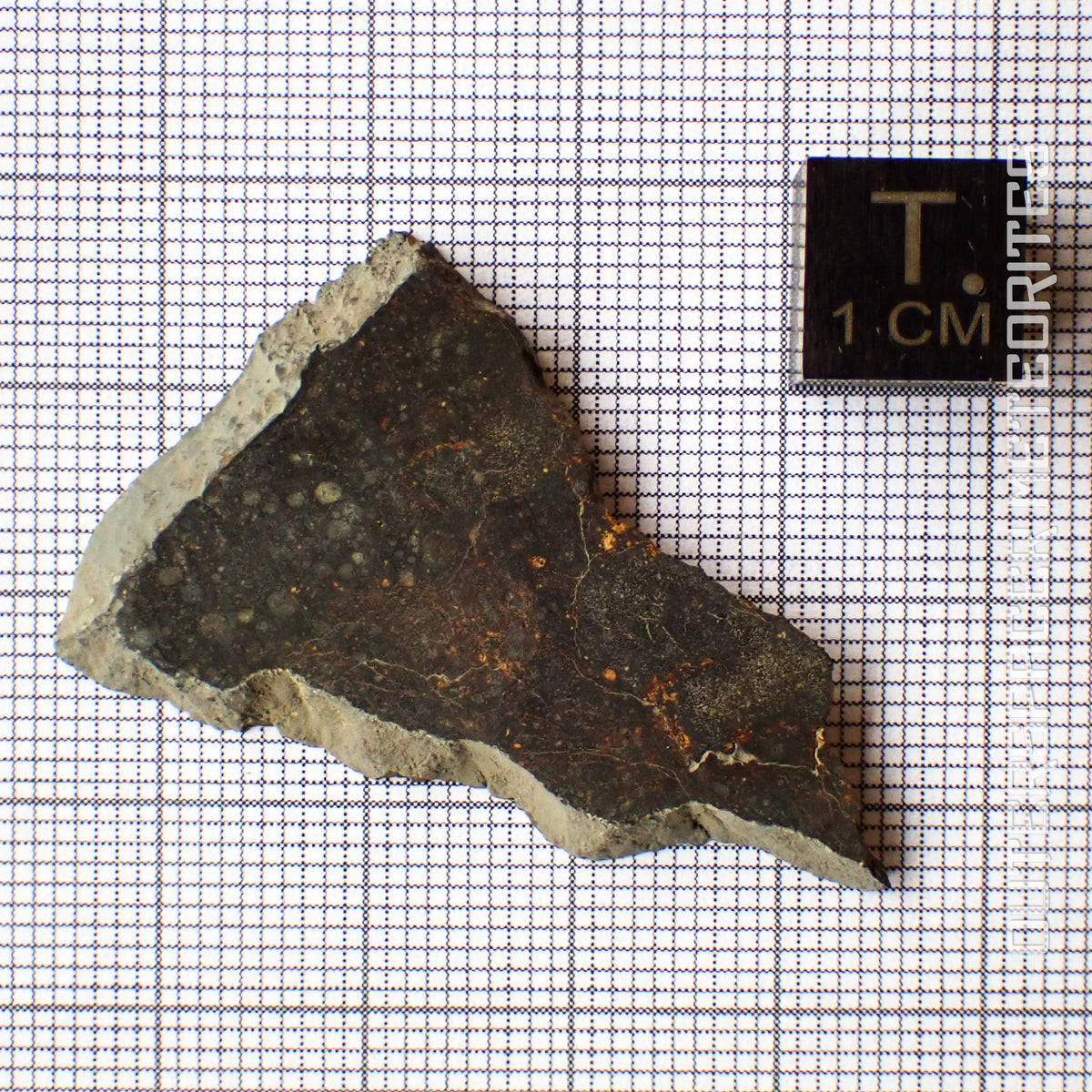 NWA 13758 - Condrita R3 (Rumuruti) - Lámina - 4,9 g - Argelia