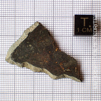 NWA 13758 - Condrita R3 (Rumuruti) - Lámina - 4,9 g - Argelia