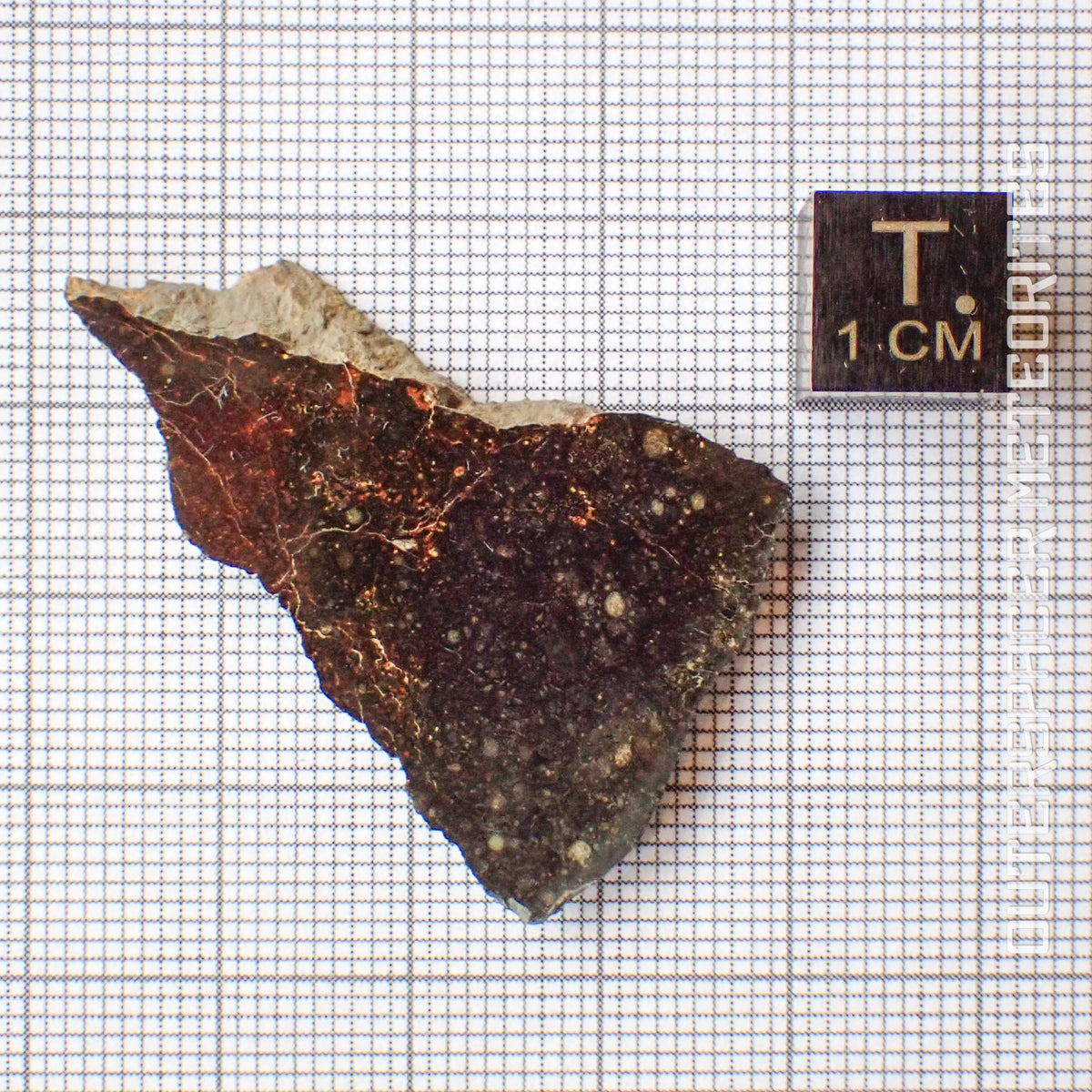 NWA 13758 - Condrita R3 (Rumuruti) - Lámina - 4,9 g - Argelia