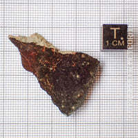 NWA 13758 - Condrita R3 (Rumuruti) - Lámina - 4,9 g - Argelia