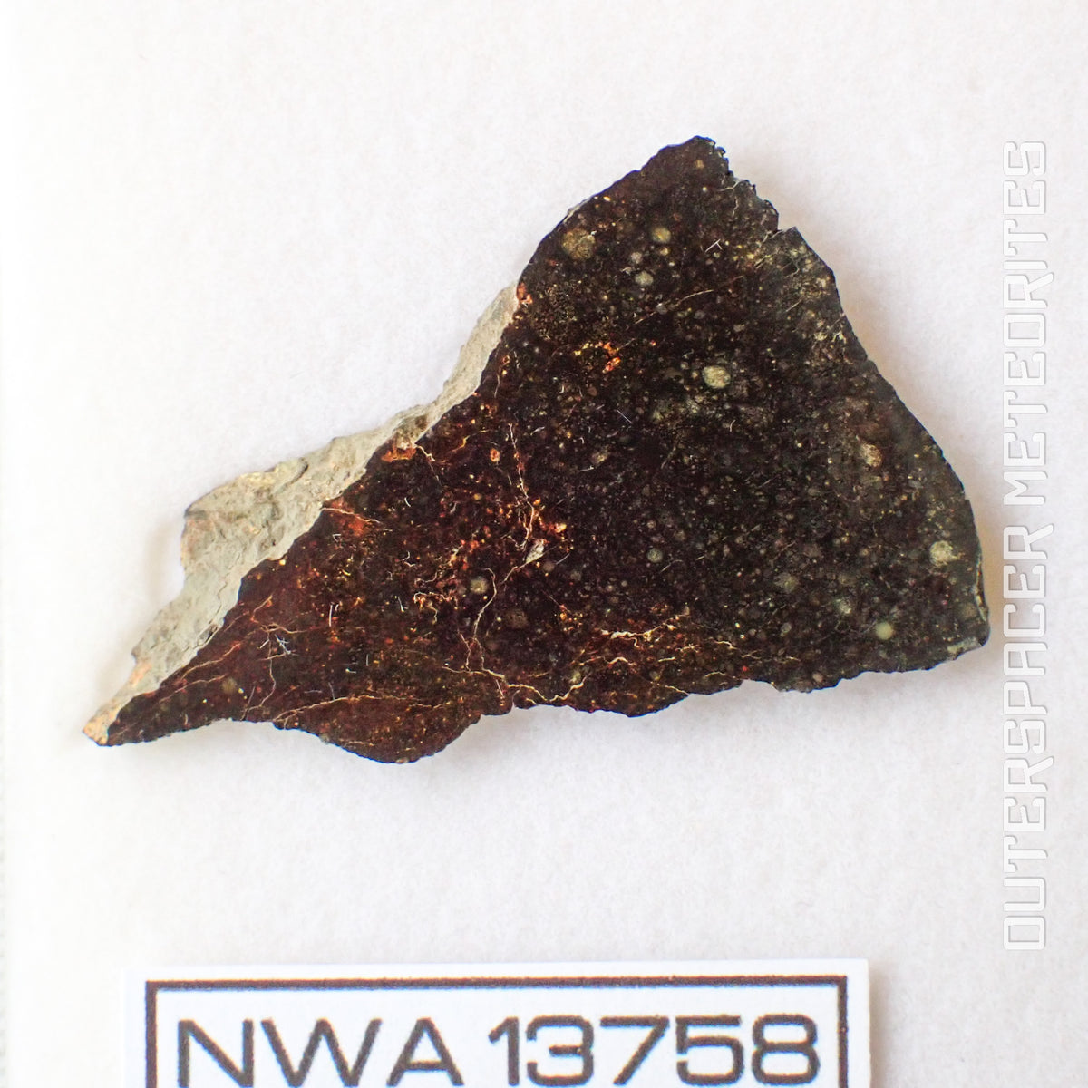 NWA 13758 - Condrita R3 (Rumuruti) - Lámina - 4,9 g - Argelia