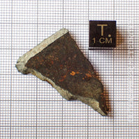 NWA 13758 - R3 Chondrite (Rumuruti) - Slice - 4.44 g - Algeria