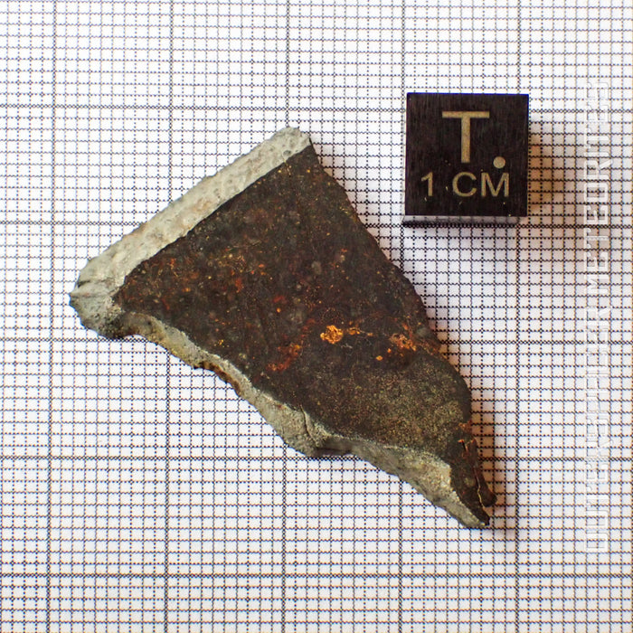 NWA 13758 - R3 Chondrite (Rumuruti) - Slice - 4.44 g - Algeria