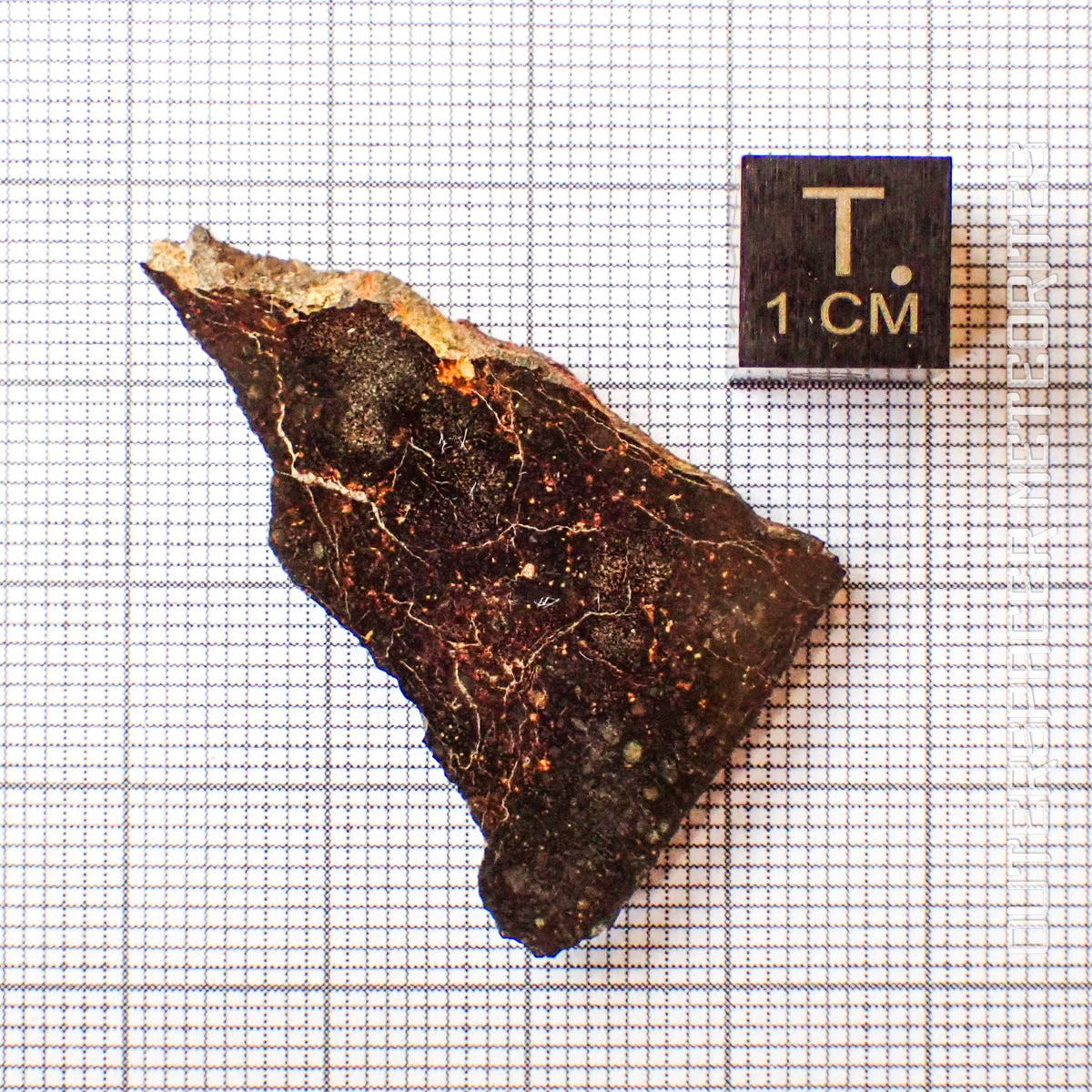 NWA 13758 - R3 Chondrite (Rumuruti) - Slice - 4.44 g - Algeria