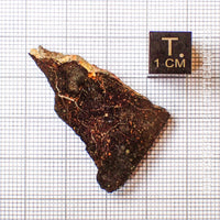 NWA 13758 - R3 Chondrite (Rumuruti) - Slice - 4.44 g - Algeria