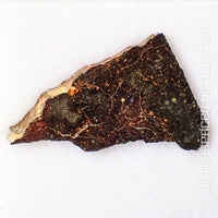 NWA 13758 - R3 Chondrite (Rumuruti) - Slice - 4.44 g - Algeria