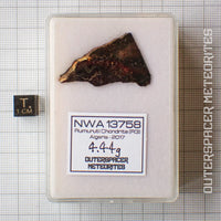 NWA 13758 - R3 Chondrite (Rumuruti) - Slice - 4.44 g - Algeria