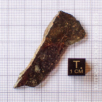 NWA 13758 - Chondrite R3 (Rumuruti) - Tranche - 6,2g - Algérie