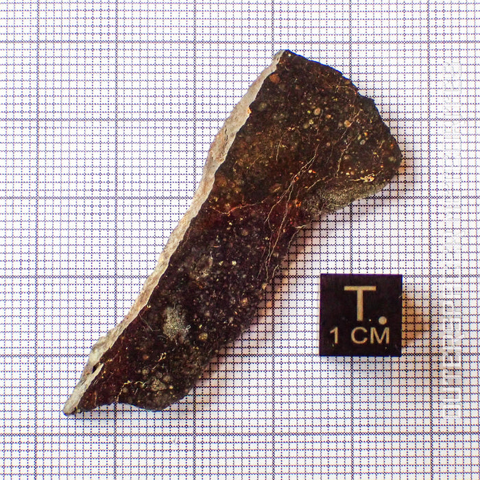 NWA 13758 - R3 Chondrite (Rumuruti) - Slice - 6.2g - Algeria