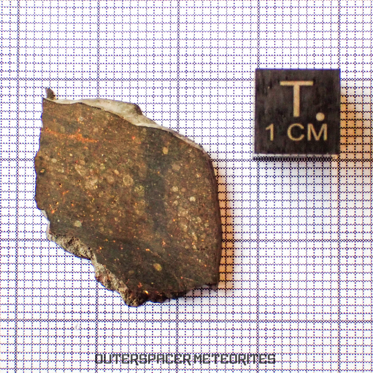 NWA 13758 - Condrita R3 (Rumuruti) - Lámina - 3,45 g - Argelia