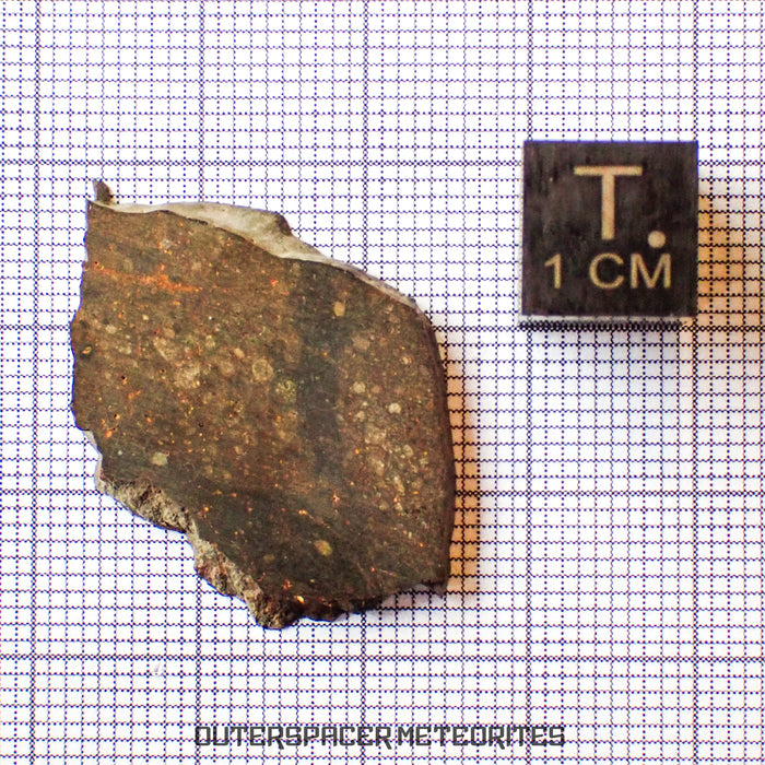 NWA 13758 - R3 Chondrite (Rumuruti) - Slice - 3.45g - Algeria