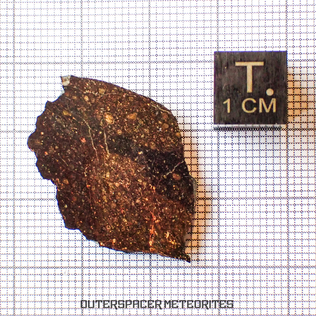 NWA 13758 - Condrita R3 (Rumuruti) - Lámina - 3,45 g - Argelia