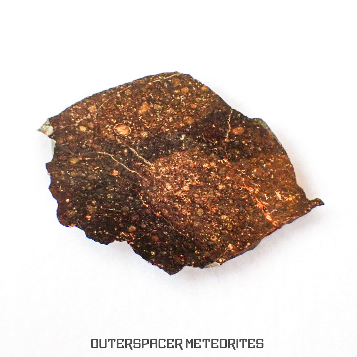 NWA 13758 - Condrita R3 (Rumuruti) - Lámina - 3,45 g - Argelia