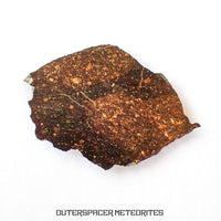 NWA 13758 - Condrita R3 (Rumuruti) - Lámina - 3,45 g - Argelia