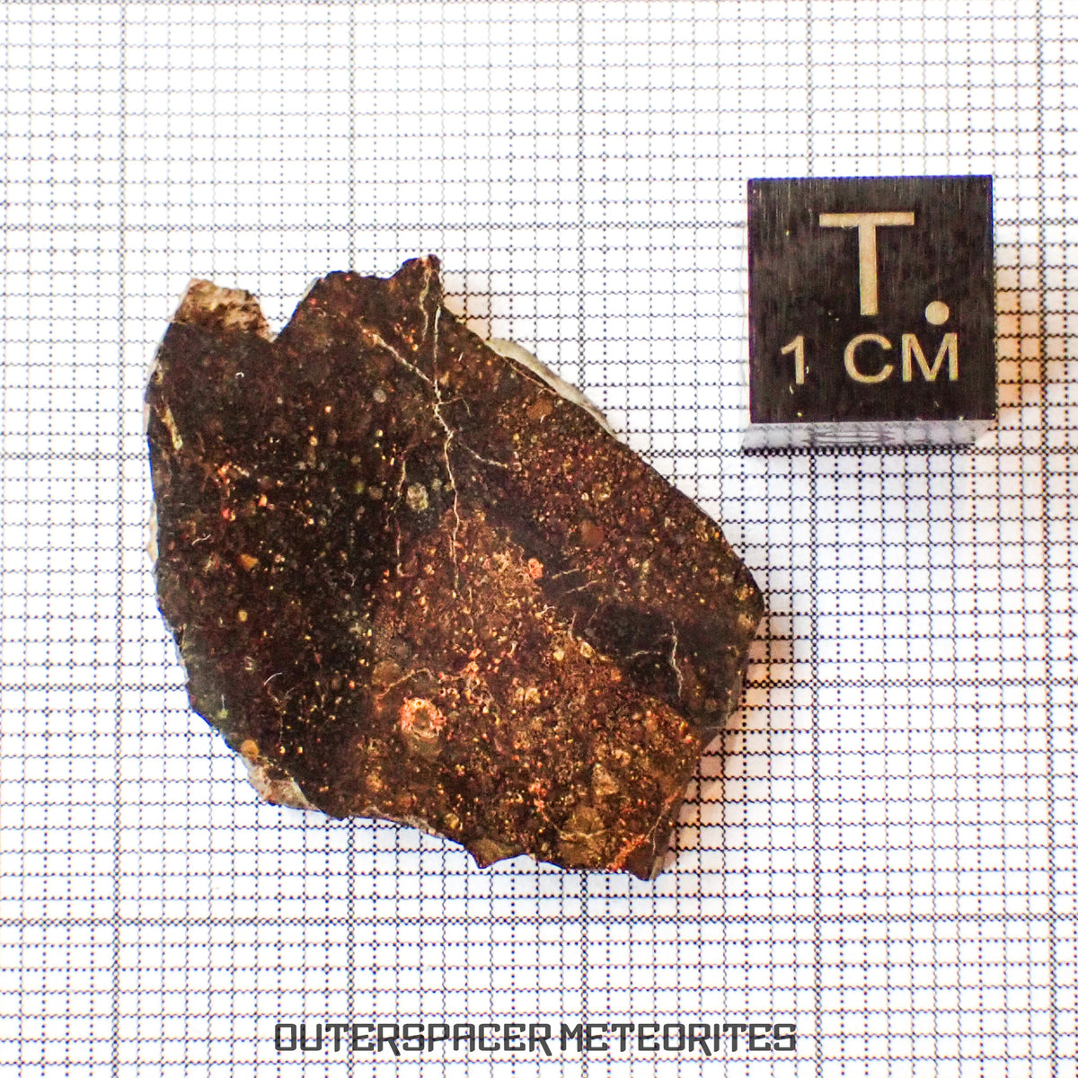 NWA 13758 - Condrita R3 (Rumuruti) - Lámina - 3,79 g - Argelia