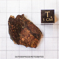 NWA 13758 - Condrita R3 (Rumuruti) - Lámina - 3,79 g - Argelia