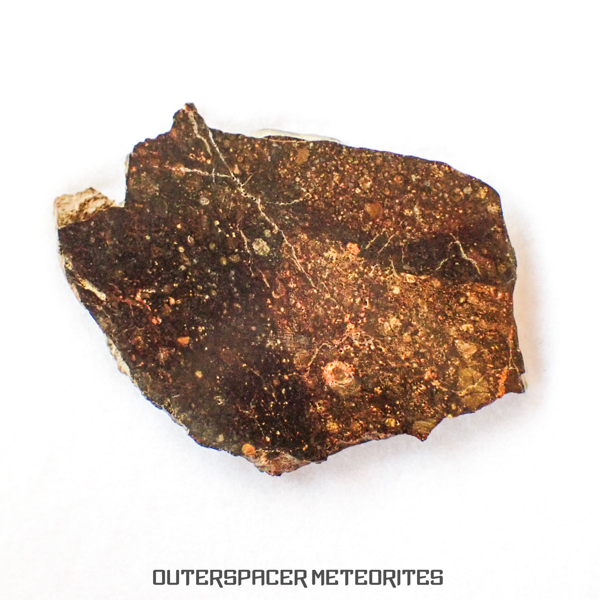 NWA 13758 - Condrita R3 (Rumuruti) - Lámina - 3,79 g - Argelia