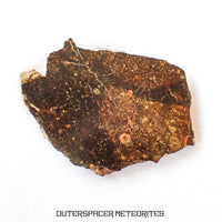 NWA 13758 - Condrita R3 (Rumuruti) - Lámina - 3,79 g - Argelia