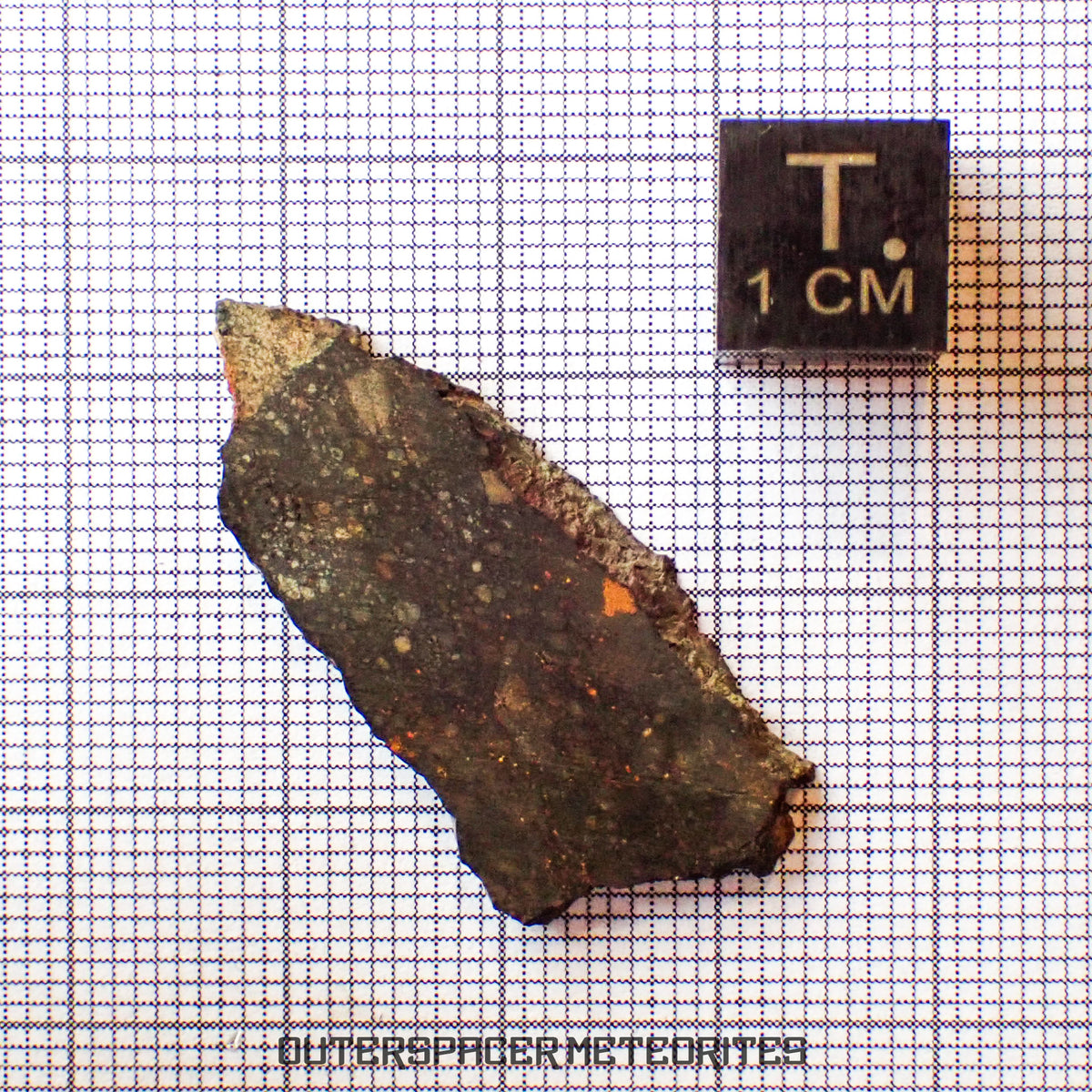 NWA 13758 - R3 Chondrite (Rumuruti) - Slice - 3.15g - Algeria