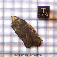 NWA 13758 - R3 Chondrite (Rumuruti) - Slice - 3.15g - Algeria