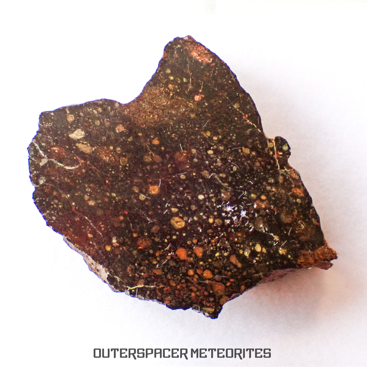 NWA 13758 - R3 Chondrite (Rumuruti) - Slice - 3.15g - Algeria