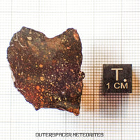 NWA 13758 - R3 Chondrite (Rumuruti) - End Cut - 16.43g - Algeria