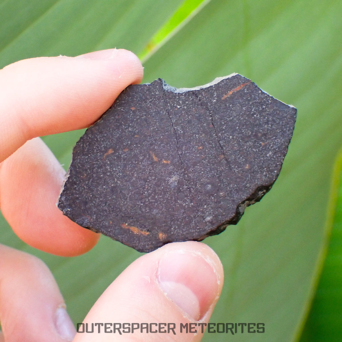 NWA 13777 - CK6-an Carbonaceous Chondrite - Slice  - 9.24g - Algeria