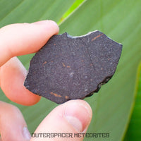 NWA 13777 - CK6-an Carbonaceous Chondrite - Slice  - 9.24g - Algeria