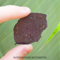 NWA 13777 - CK6-an Carbonaceous Chondrite - Slice  - 9.24g - Algeria