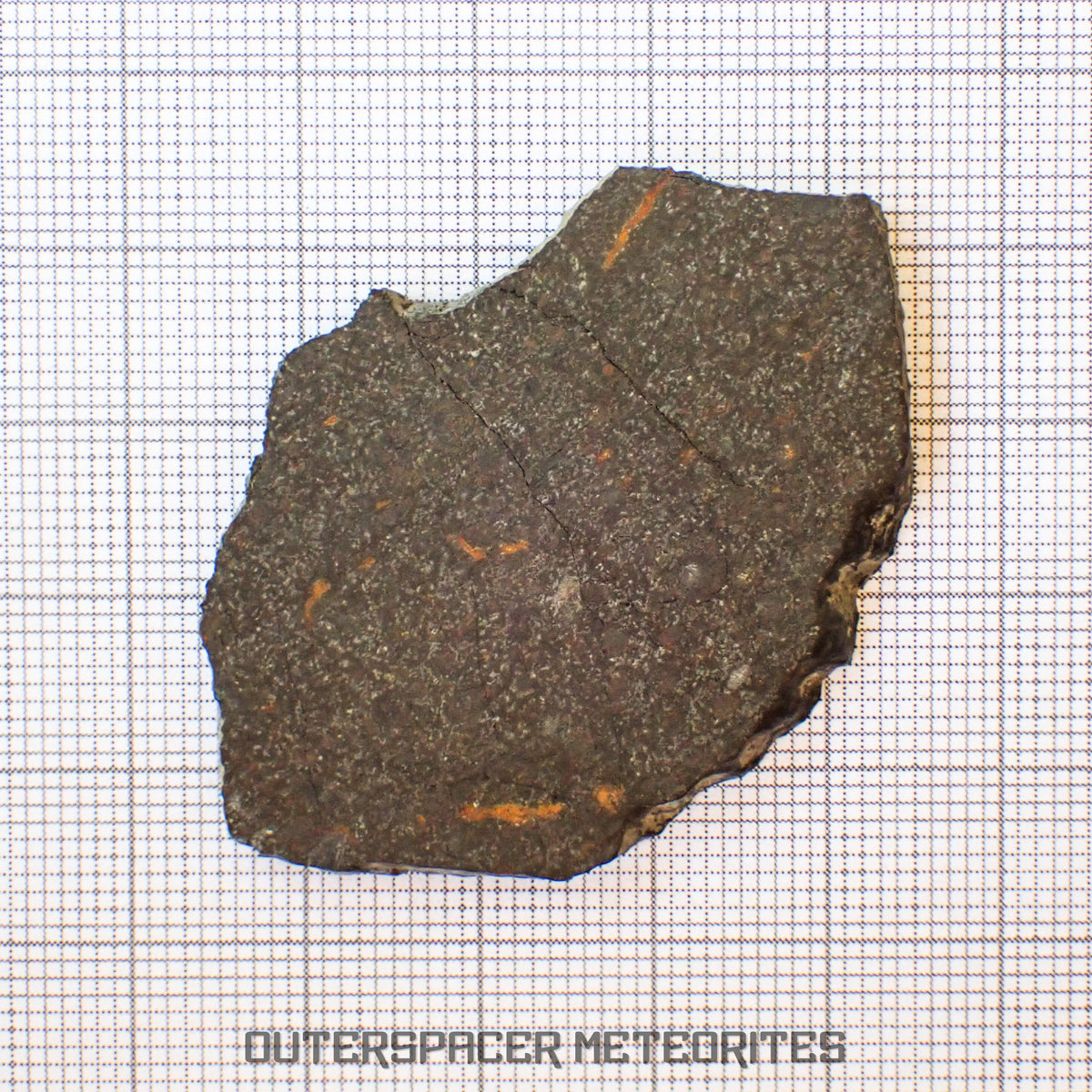 NWA 13777 - CK6-an Carbonaceous Chondrite - Slice  - 9.24g - Algeria