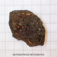 NWA 13777 - CK6-an Carbonaceous Chondrite - Slice  - 9.24g - Algeria