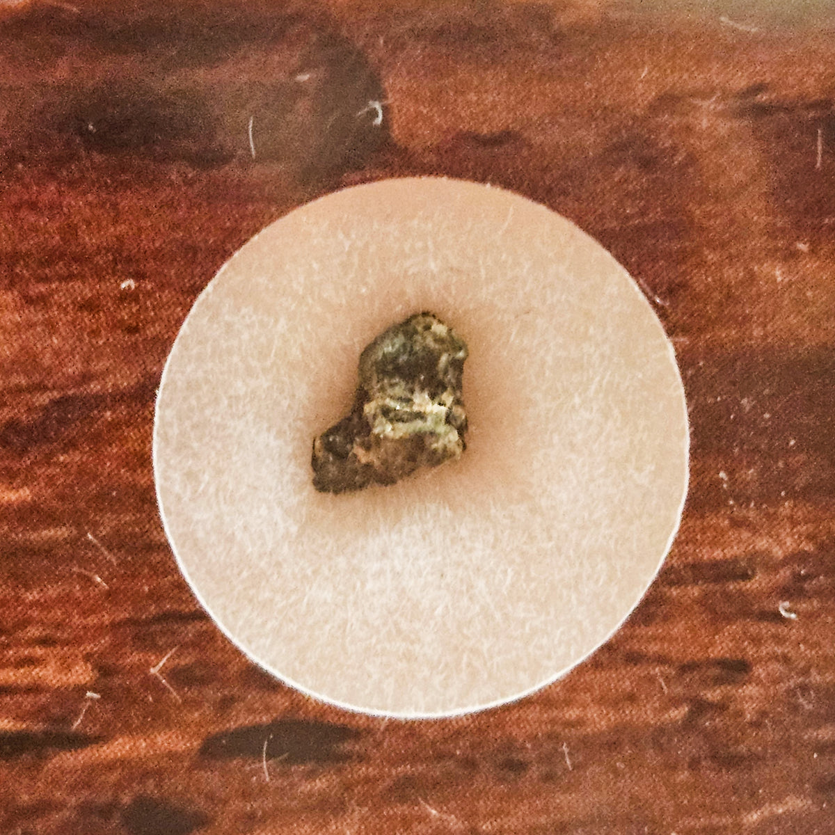 NWA 15200 - Nakhlite martienne - Fragment - 0,059g - Algérie