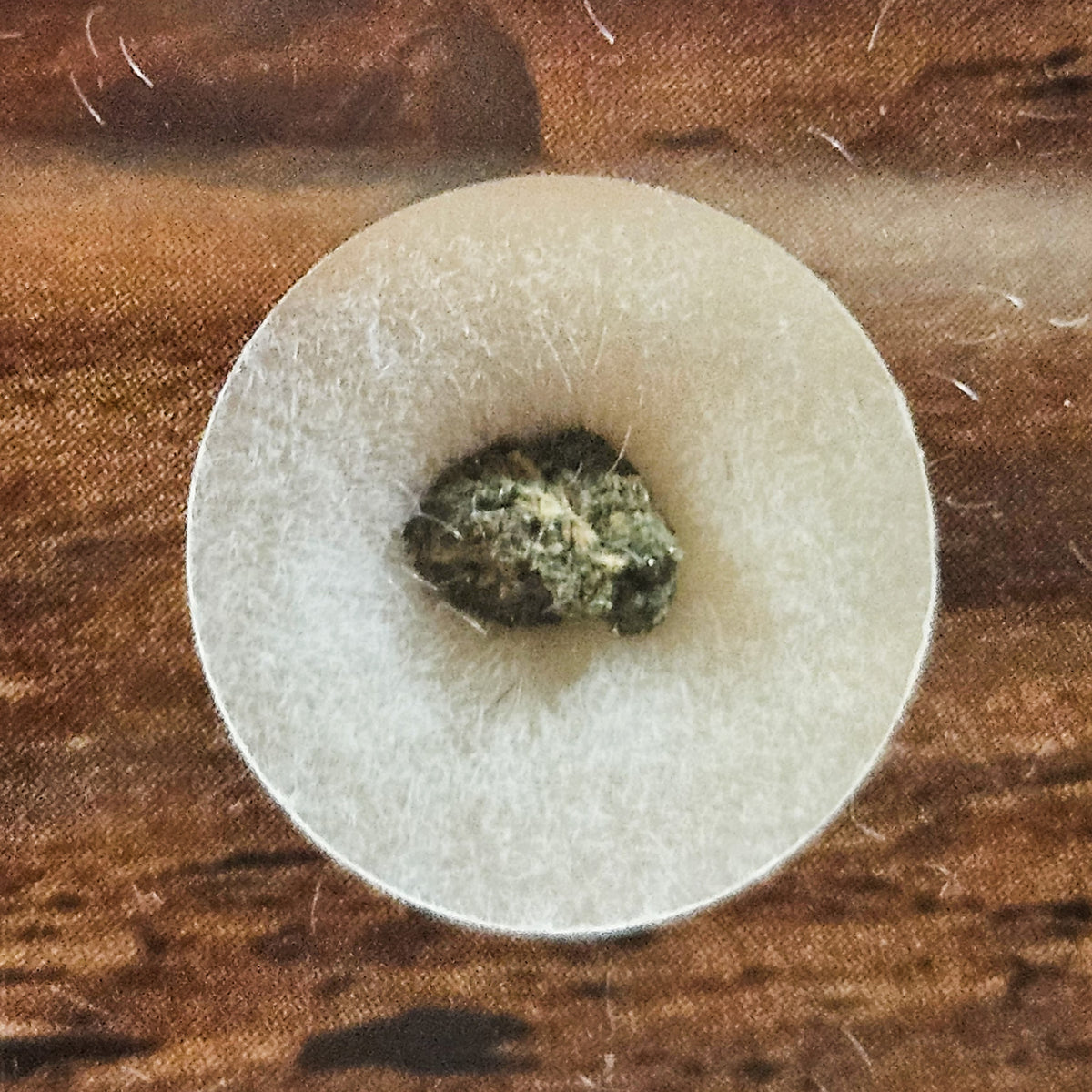 NWA 15200 - Martian Nakhlite - Fragment - 0.073g - Algeria