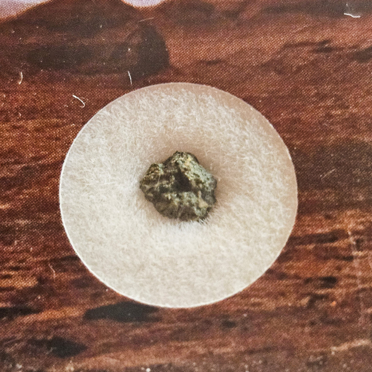 NWA 15200 - Martian Nakhlite - Fragment - 0.063g - Algeria