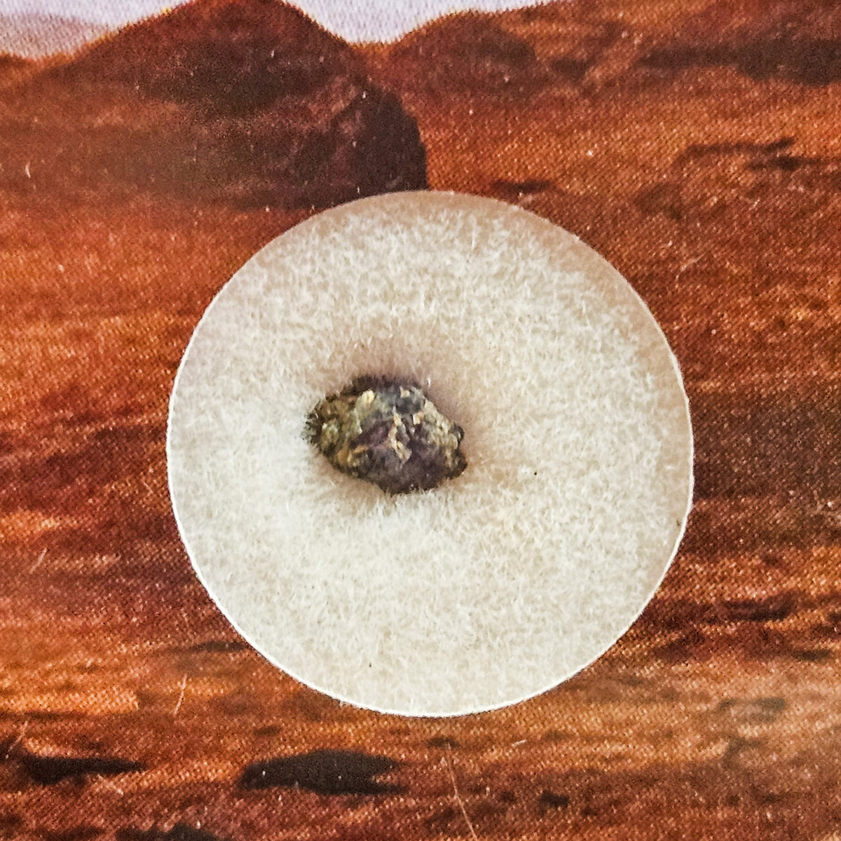NWA 15200 - Martian Nakhlite - Fragment - 0.042g - Algeria