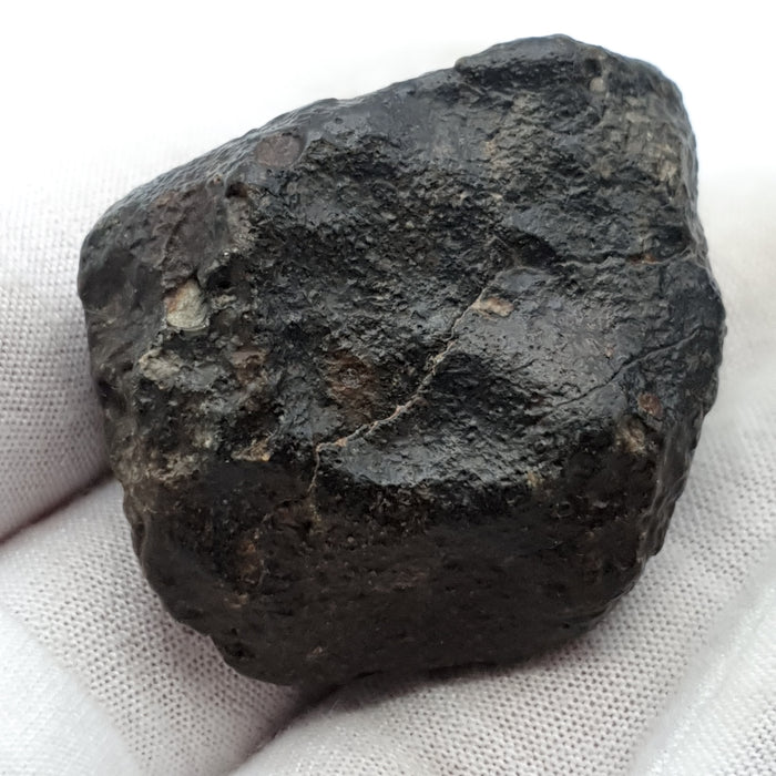 NWA*** (Sin clasificar) - Condrita Ordinaria - Ejemplar Completo - 57.5g - África del Noroeste